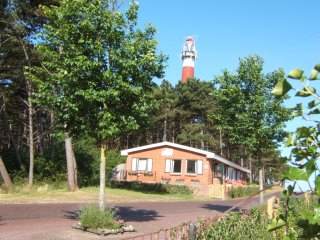 Alk bij de vuurtoren