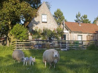 Beppe van Ameland