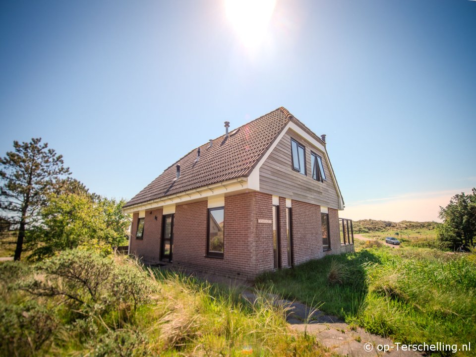 Waterman (West aan Zee)